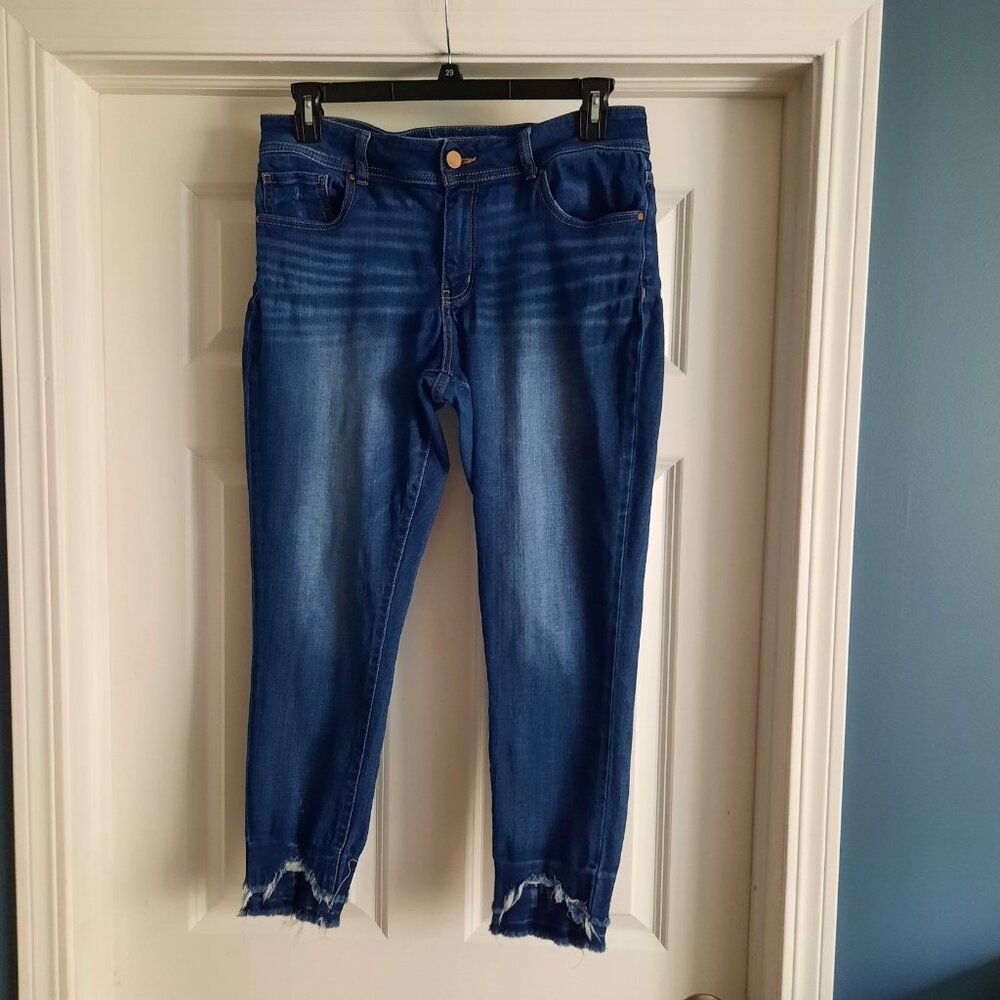 BKE Jeans Womens 30 High Rise Skinny Curvy‎ Gabby Distressed Denim Boho Raw Hem
